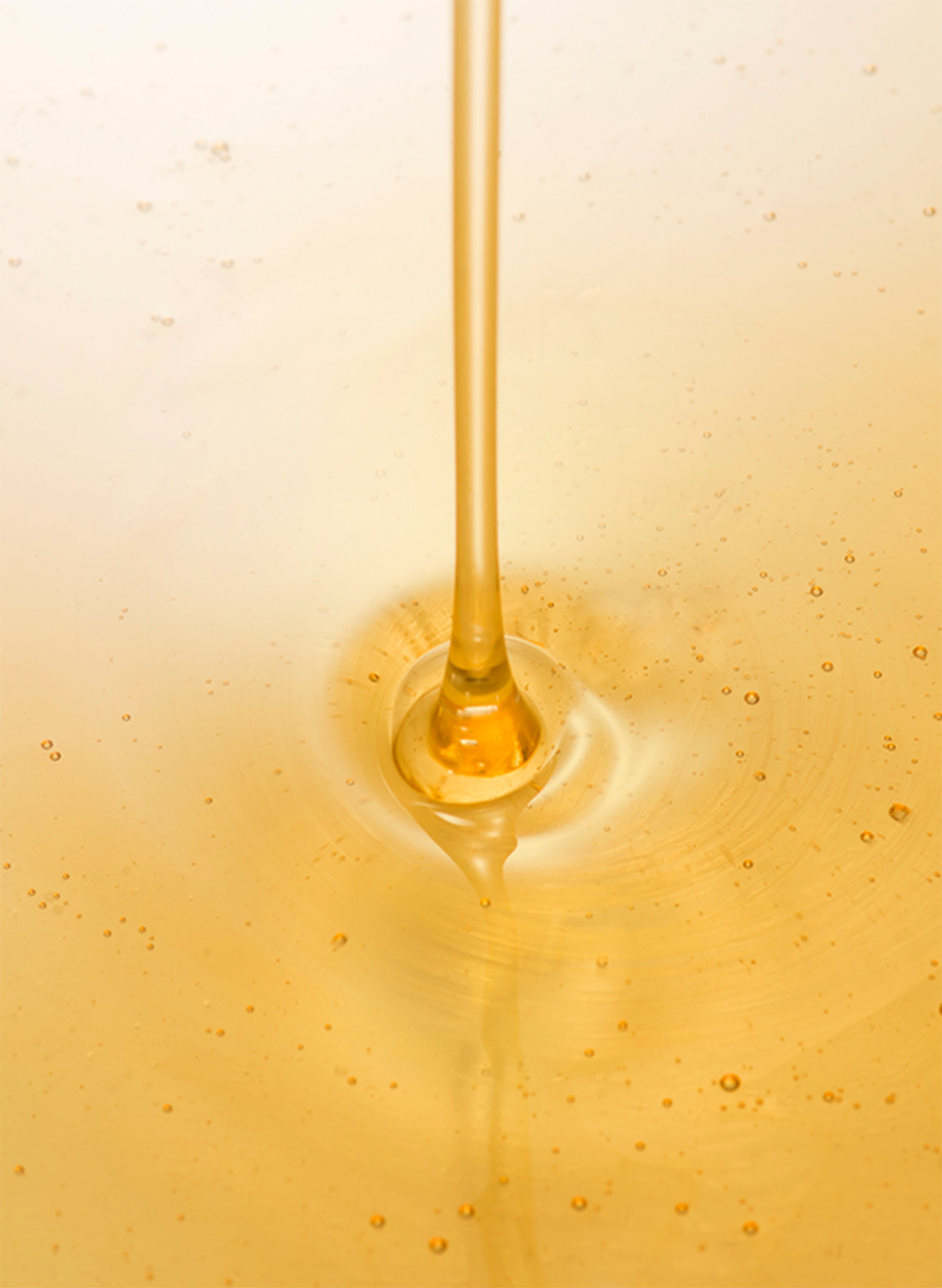 Fermentation Visual
