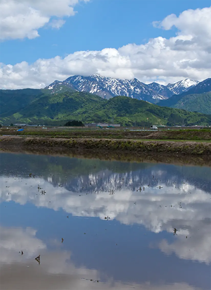 Reflection