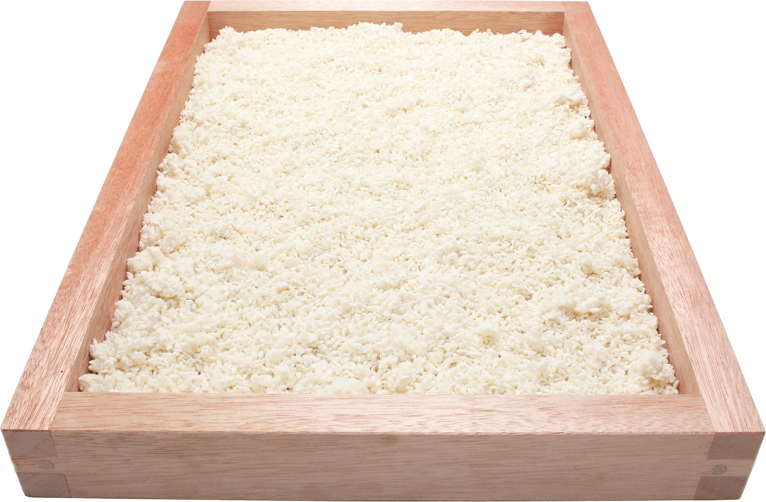 Koji Tray